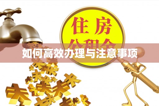 忻城如何高效办理与注意事项