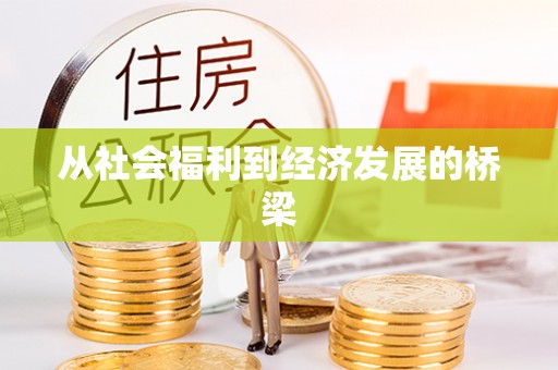 忻城从社会福利到经济发展的桥梁