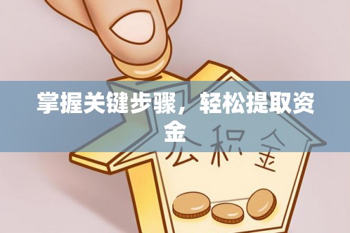 忻城掌握关键步骤，轻松提取资金