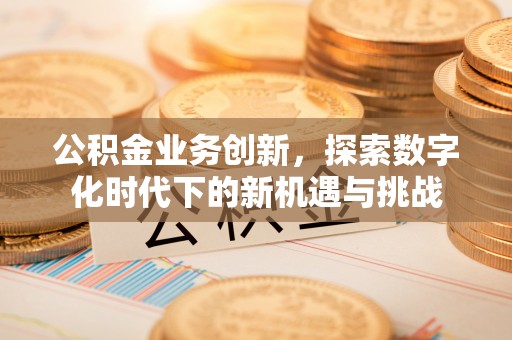 忻城公积金业务创新，探索数字化时代下的新机遇与挑战