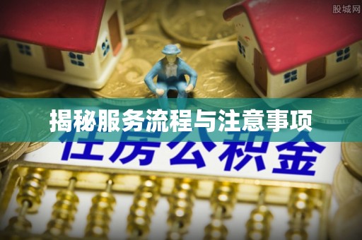 忻城揭秘服务流程与注意事项