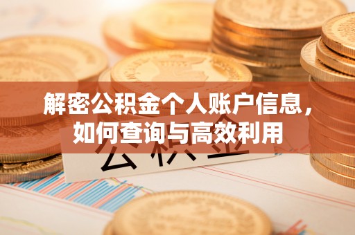 忻城解密公积金个人账户信息，如何查询与高效利用