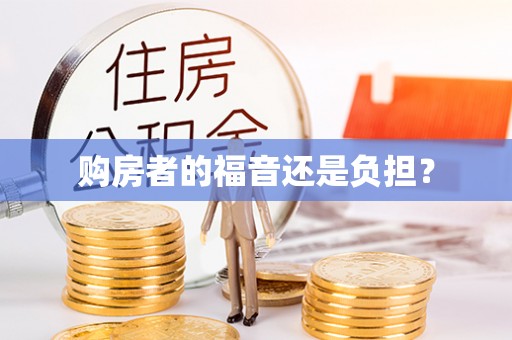 忻城购房者的福音还是负担？