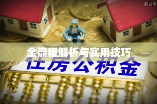 忻城全流程解析与实用技巧