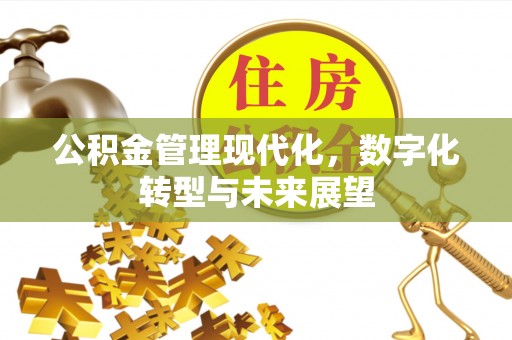 忻城公积金管理现代化，数字化转型与未来展望