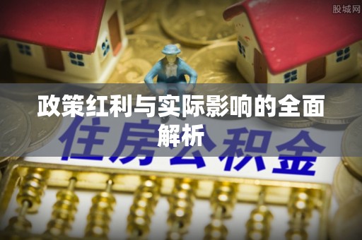 忻城政策红利与实际影响的全面解析