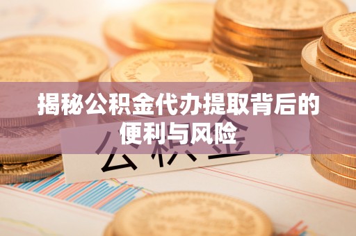 忻城揭秘公积金代办提取背后的便利与风险