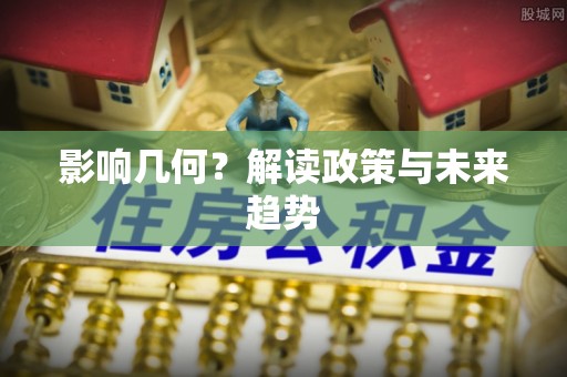 忻城影响几何？解读政策与未来趋势