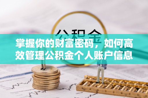 忻城掌握你的财富密码，如何高效管理公积金个人账户信息