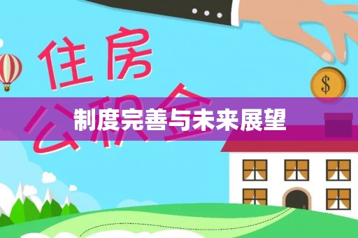 忻城制度完善与未来展望