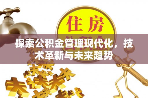 忻城探索公积金管理现代化，技术革新与未来趋势