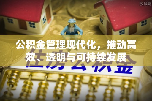 忻城公积金管理现代化，推动高效、透明与可持续发展