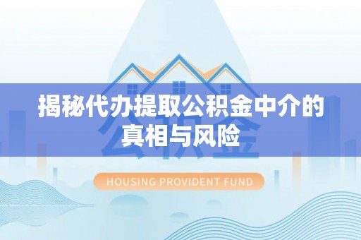 忻城揭秘代办提取公积金中介的真相与风险