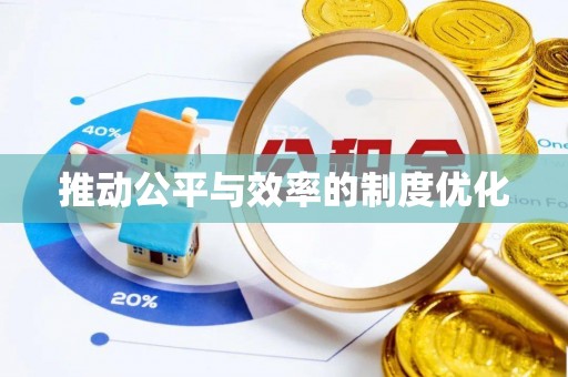 忻城推动公平与效率的制度优化
