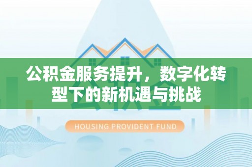 忻城公积金服务提升，数字化转型下的新机遇与挑战