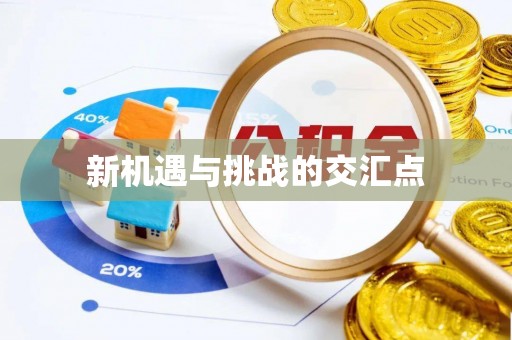 忻城新机遇与挑战的交汇点