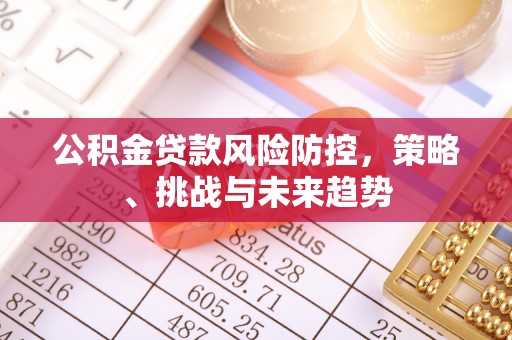 忻城公积金贷款风险防控，策略、挑战与未来趋势