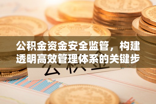 忻城公积金资金安全监管，构建透明高效管理体系的关键步骤