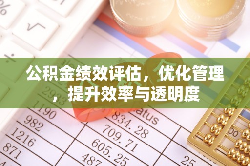忻城公积金绩效评估，优化管理，提升效率与透明度