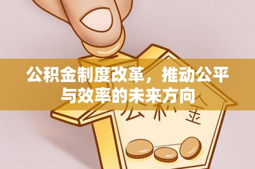 忻城公积金制度改革，推动公平与效率的未来方向