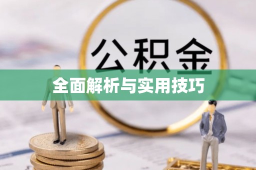 忻城全面解析与实用技巧