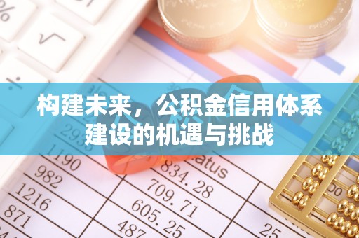 忻城构建未来，公积金信用体系建设的机遇与挑战