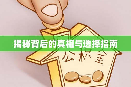 忻城揭秘背后的真相与选择指南
