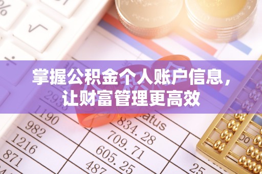 忻城掌握公积金个人账户信息，让财富管理更高效