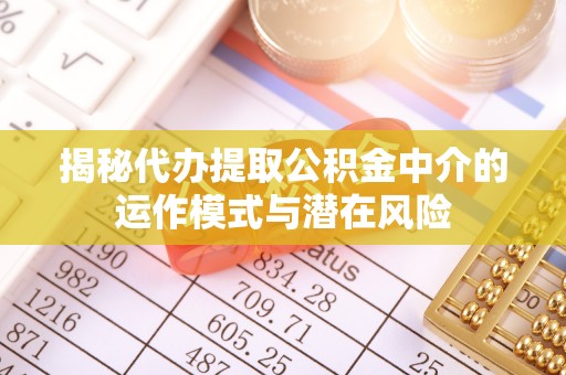 忻城揭秘代办提取公积金中介的运作模式与潜在风险