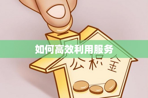 忻城如何高效利用服务