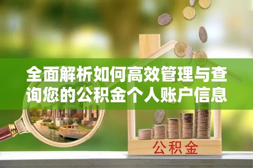 忻城全面解析如何高效管理与查询您的公积金个人账户信息