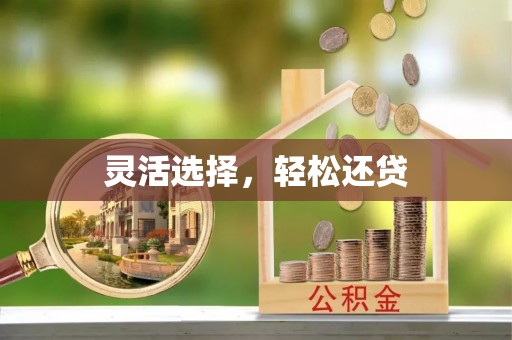 忻城灵活选择，轻松还贷