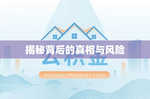 忻城揭秘背后的真相与风险