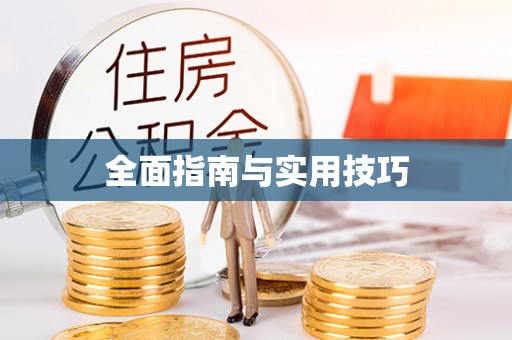 忻城全面指南与实用技巧