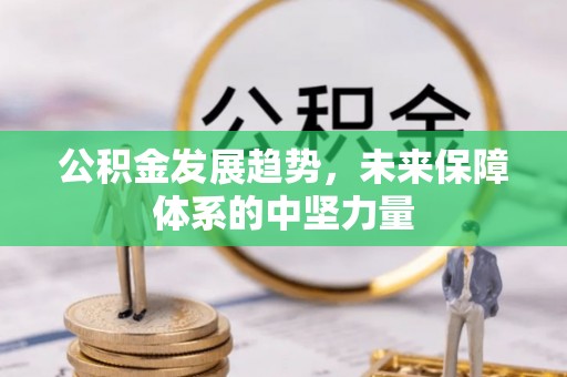 忻城公积金发展趋势，未来保障体系的中坚力量