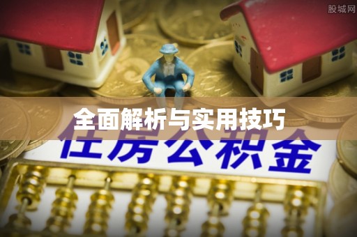 忻城全面解析与实用技巧