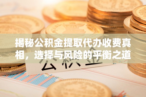 忻城揭秘公积金提取代办收费真相，选择与风险的平衡之道