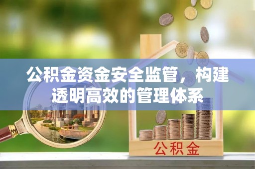 忻城公积金资金安全监管，构建透明高效的管理体系