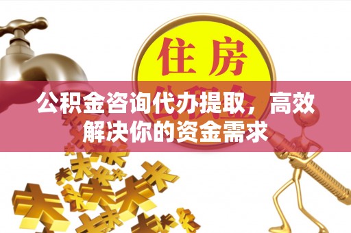 忻城公积金咨询代办提取，高效解决你的资金需求