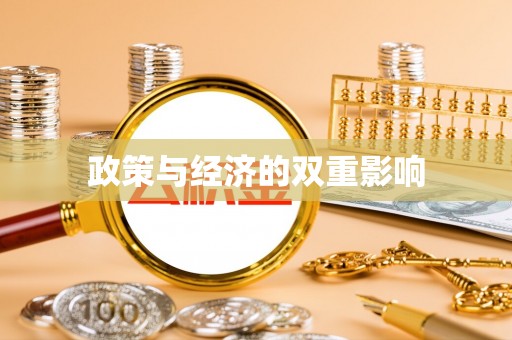 忻城政策与经济的双重影响