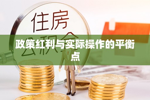 忻城政策红利与实际操作的平衡点