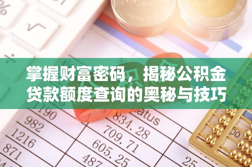 忻城掌握财富密码，揭秘公积金贷款额度查询的奥秘与技巧