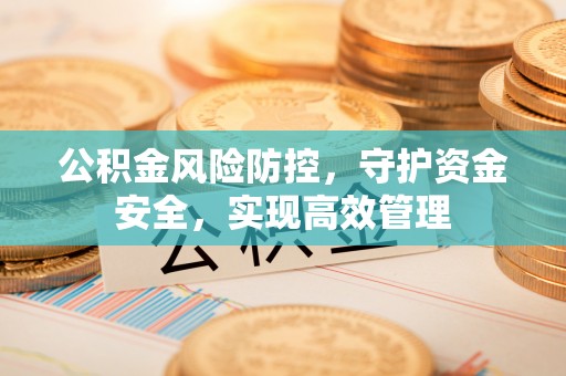 忻城公积金风险防控，守护资金安全，实现高效管理
