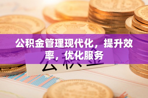 忻城公积金管理现代化，提升效率，优化服务