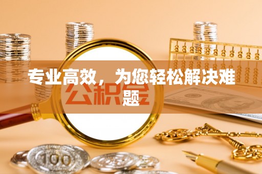 忻城专业高效，为您轻松解决难题