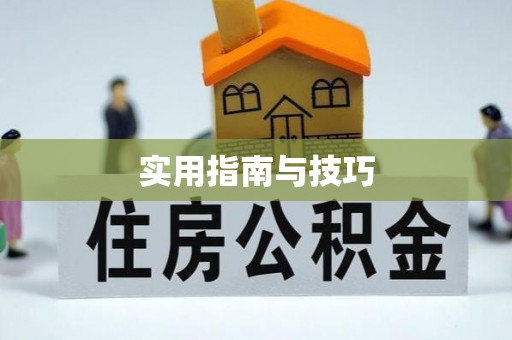 忻城实用指南与技巧