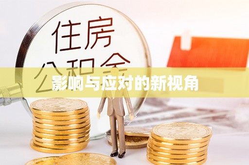 忻城影响与应对的新视角