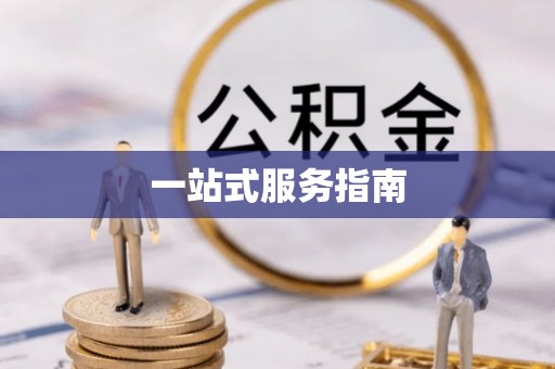 忻城一站式服务指南