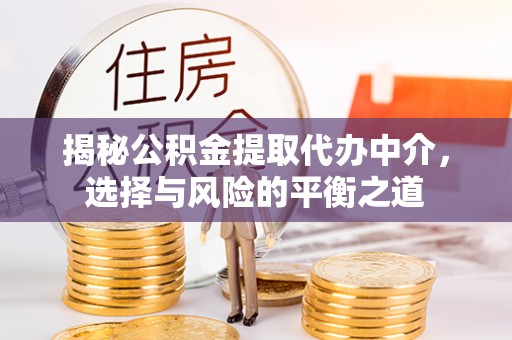 忻城揭秘公积金提取代办中介，选择与风险的平衡之道