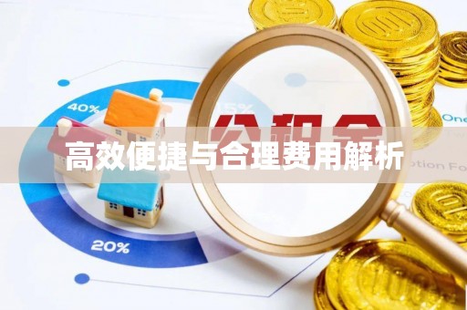 忻城高效便捷与合理费用解析